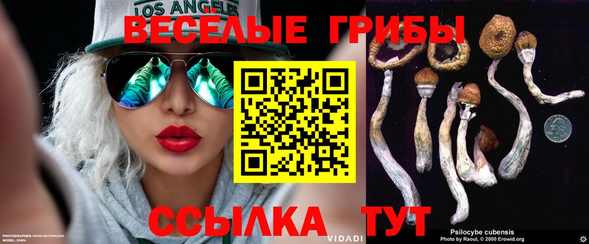 купить наркотик  Галлюциногенные грибы Psilocybine cubensis  Вход с VPN  Кудрово 
